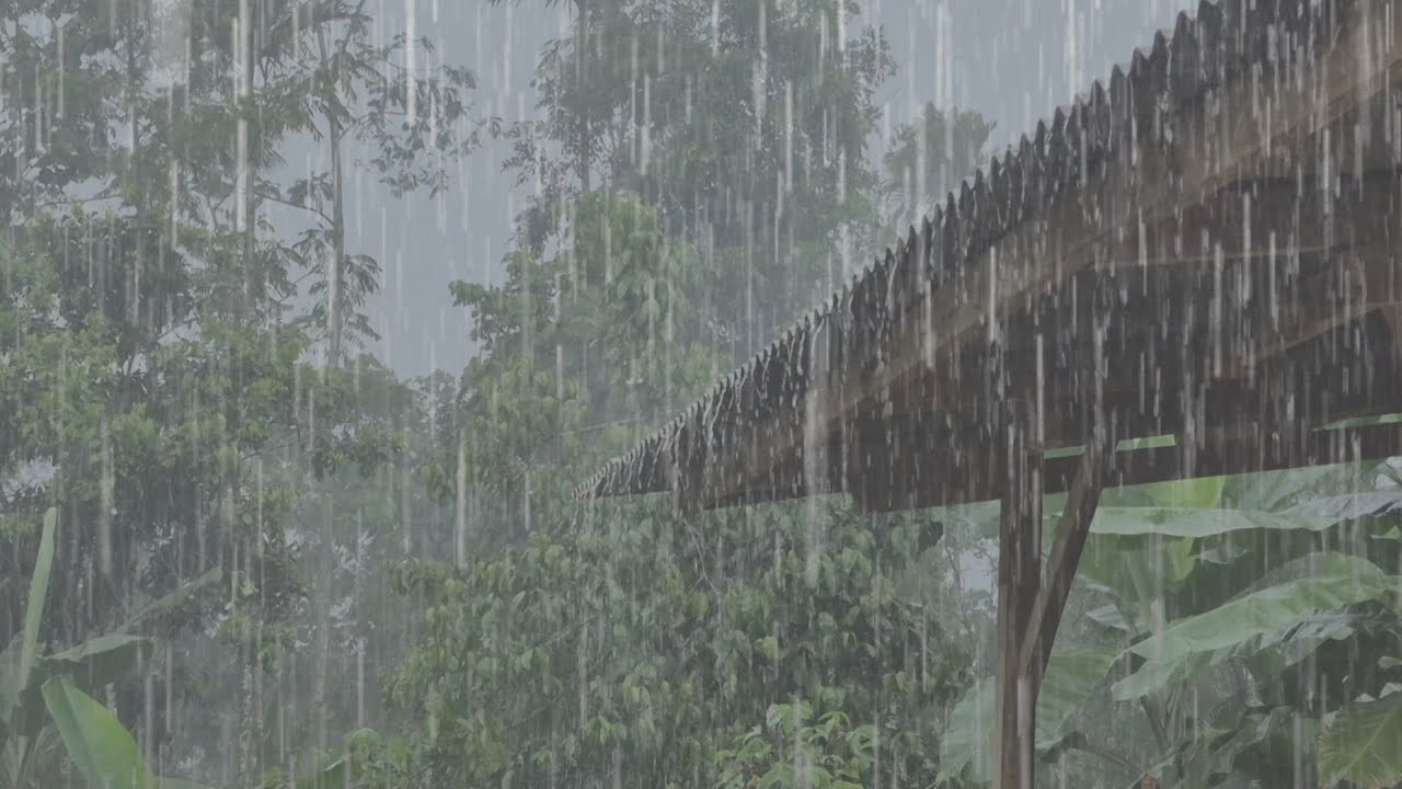 Relaxing Rain Sounds on Roof 🌧️ Real Village Ambience for Sleep