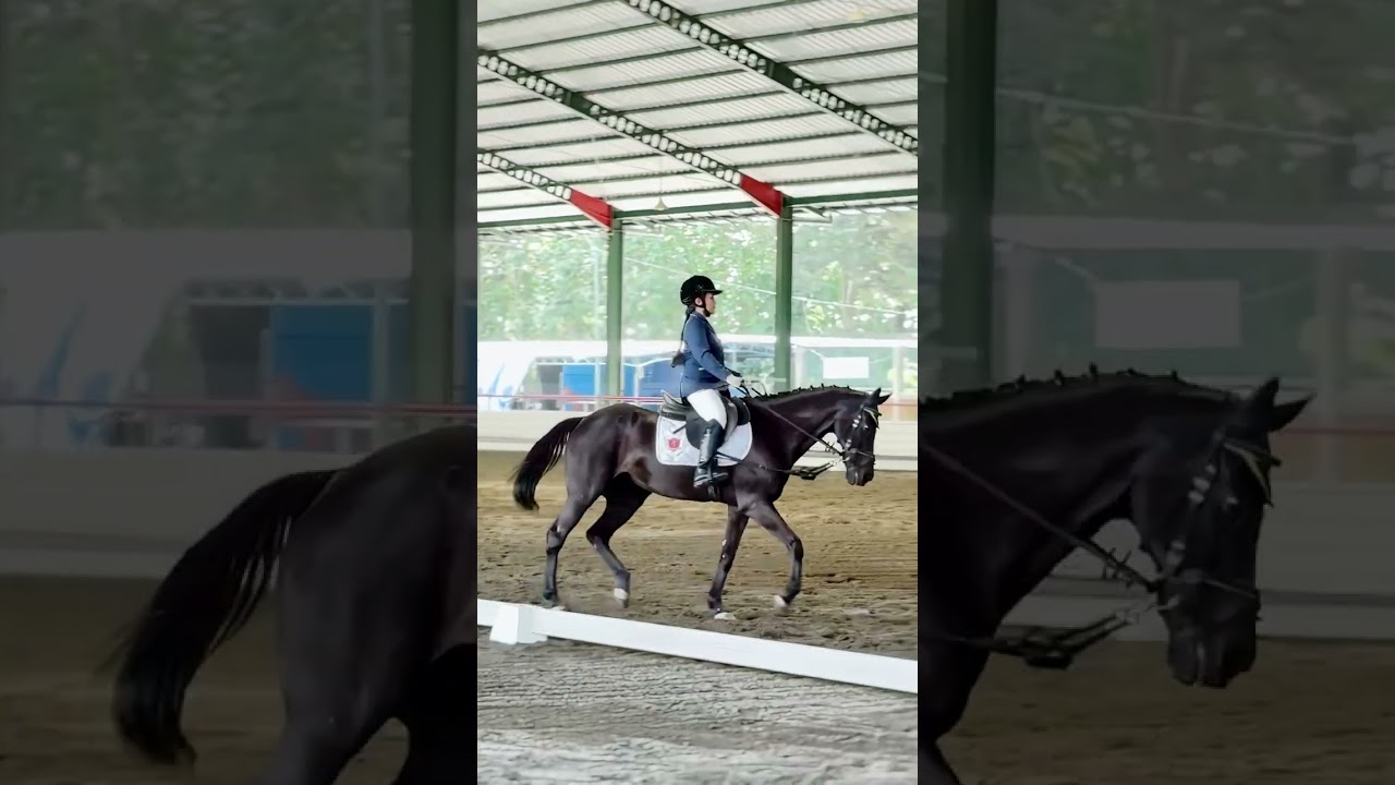 2nd Place - Dressage Equestrian Competition 2025 