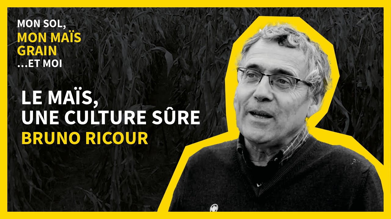 LE MA&Iuml;S, UNE CULTURE S&Ucirc;RE - SCEA CHANTALOUETTE (03)