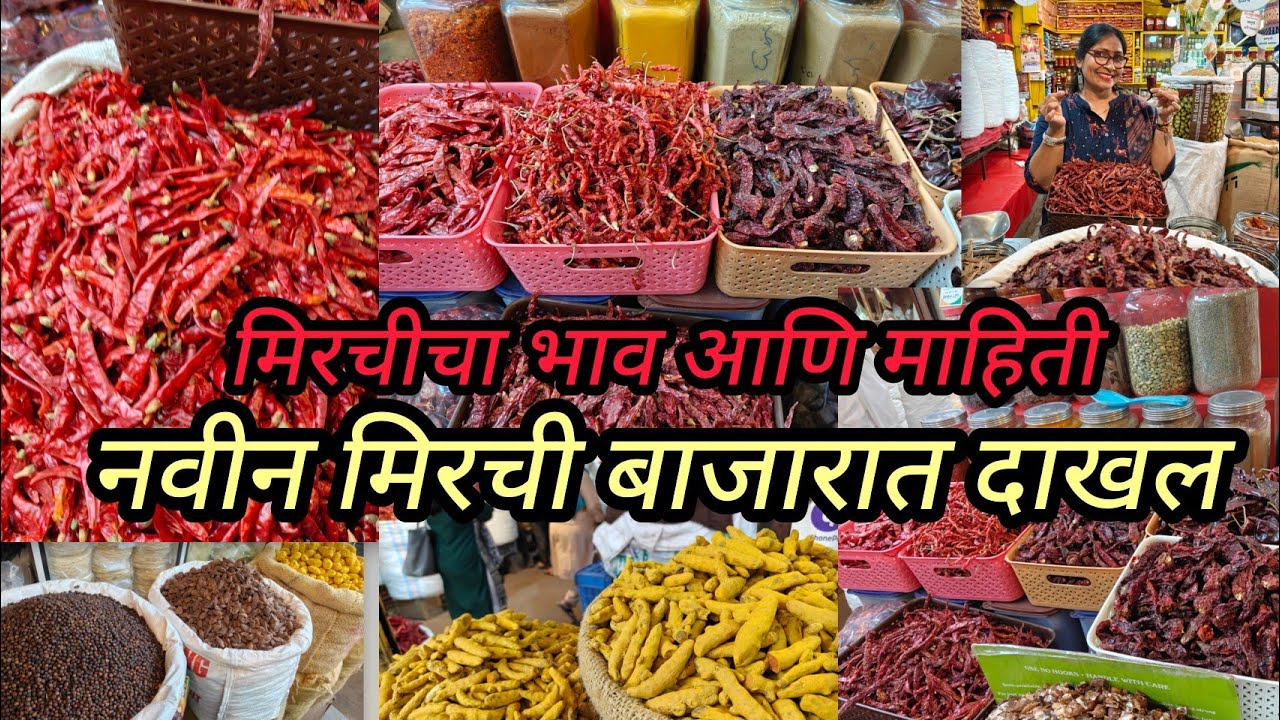  🌶️ यंदा मिरचीचा भाव काय ? नवीन मिरची बाजारात दाखल Thane Masala Market संपूर्ण माहिती पहा 