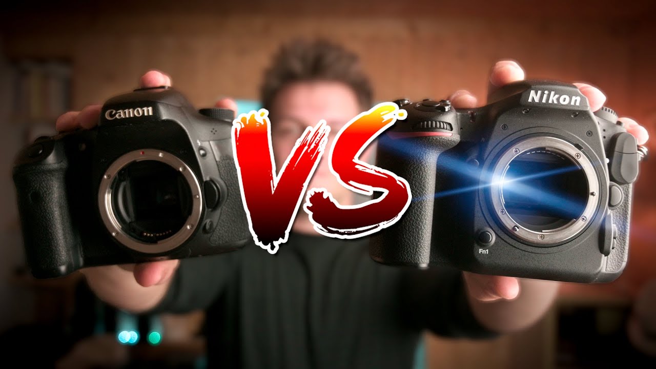 APS-C ou plein format : que choisir pour la photo animalière ?