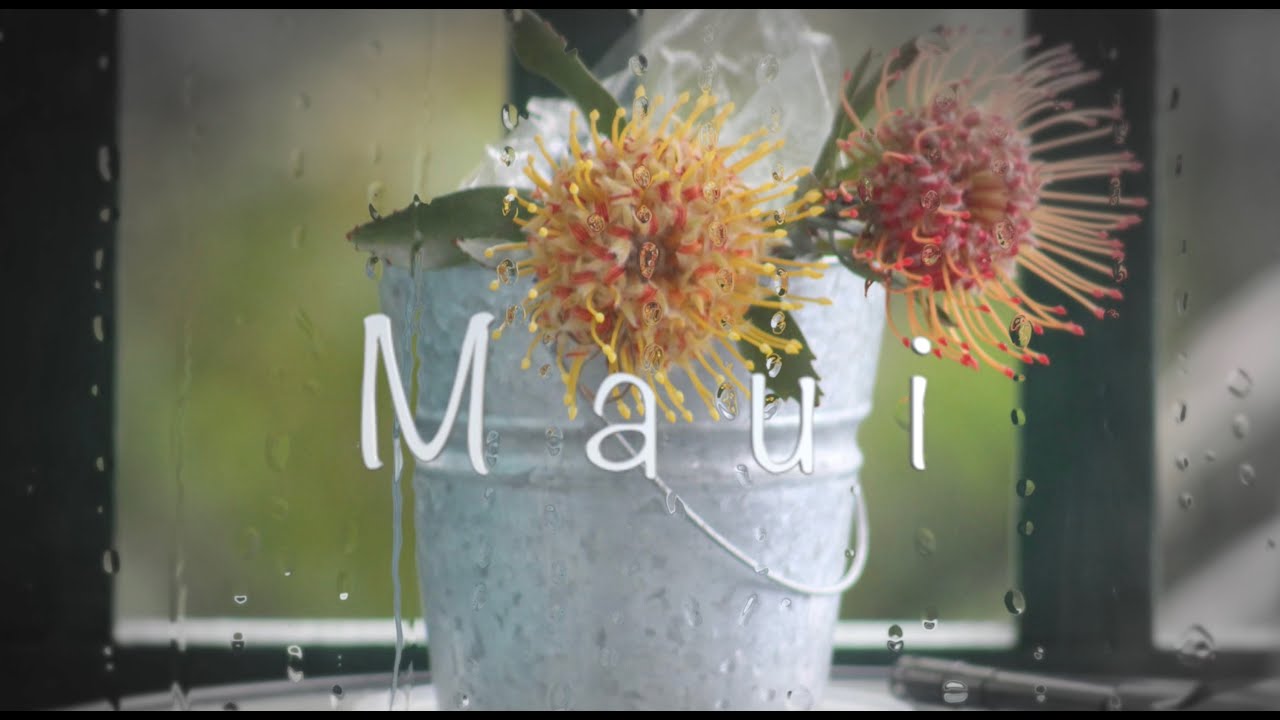 4 Days in Maui, The Valley Isle, Hawaii, USA