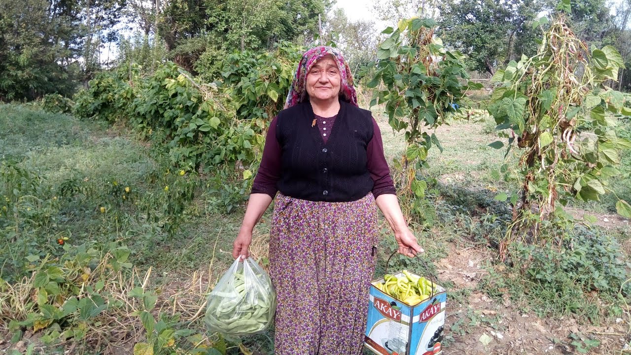 Bağa gel bostana gel biber, taze fasulye, karpuz, kavun