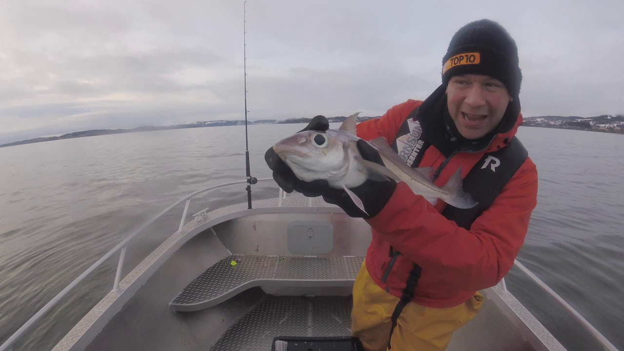 How To Fish For Haddock-Boat Fishing Tips