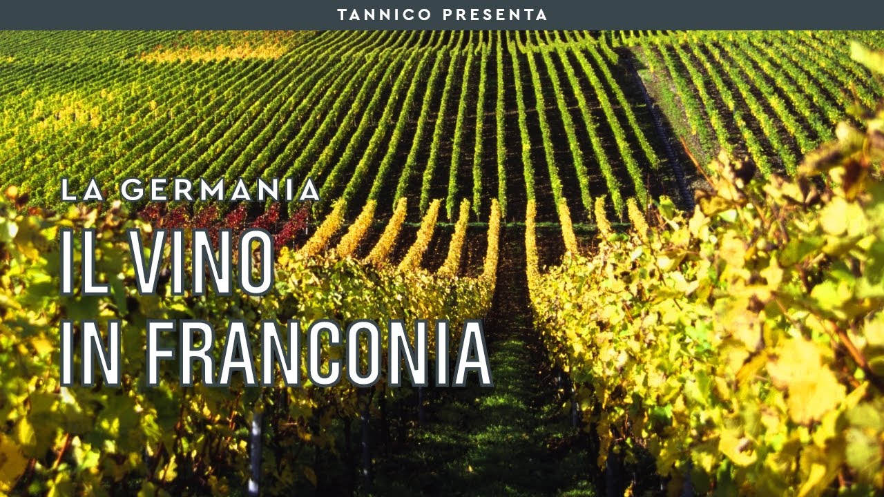 Il vino in Franconia: l'avanguardia tedesca | Tannico Flying School