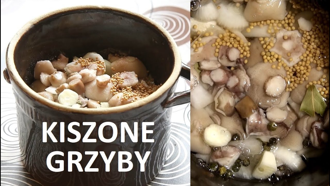 Kiszone grzyby (maślaki). Kiszenie grzybów w solance. ZŻ 75