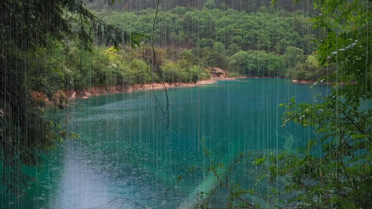 The beautiful little lake is raining(93) , sleep, relax, meditate, ASMR, Real Shot