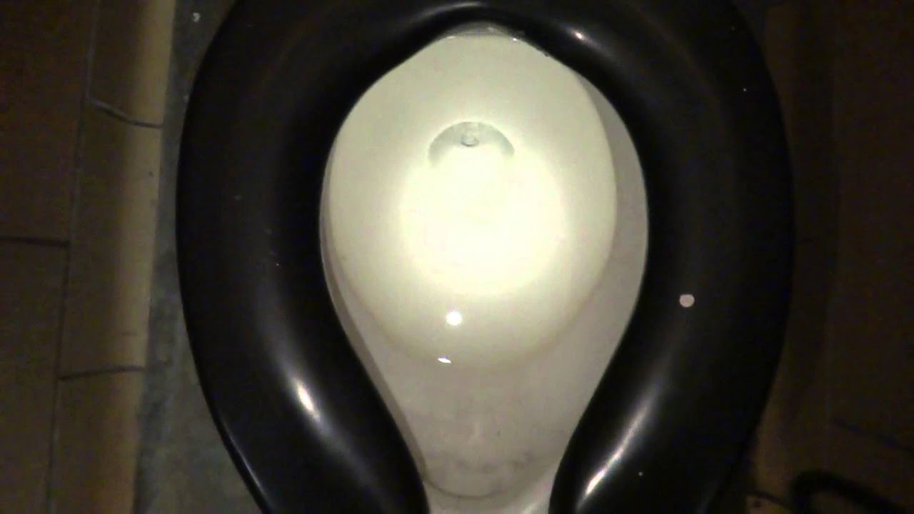 Bathroom Tour:  Amazing Vintage Crane Santon toilets and urinals in Bristol