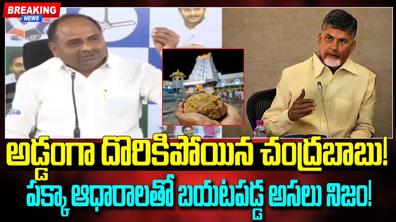 అడ్డంగా దొరికిపోయిన చంద్రబాబు!పక్కా ఆధారాలతో బయటపడ్డ అసలు నిజం!Chandrashekar CommentsOn#chandrababu