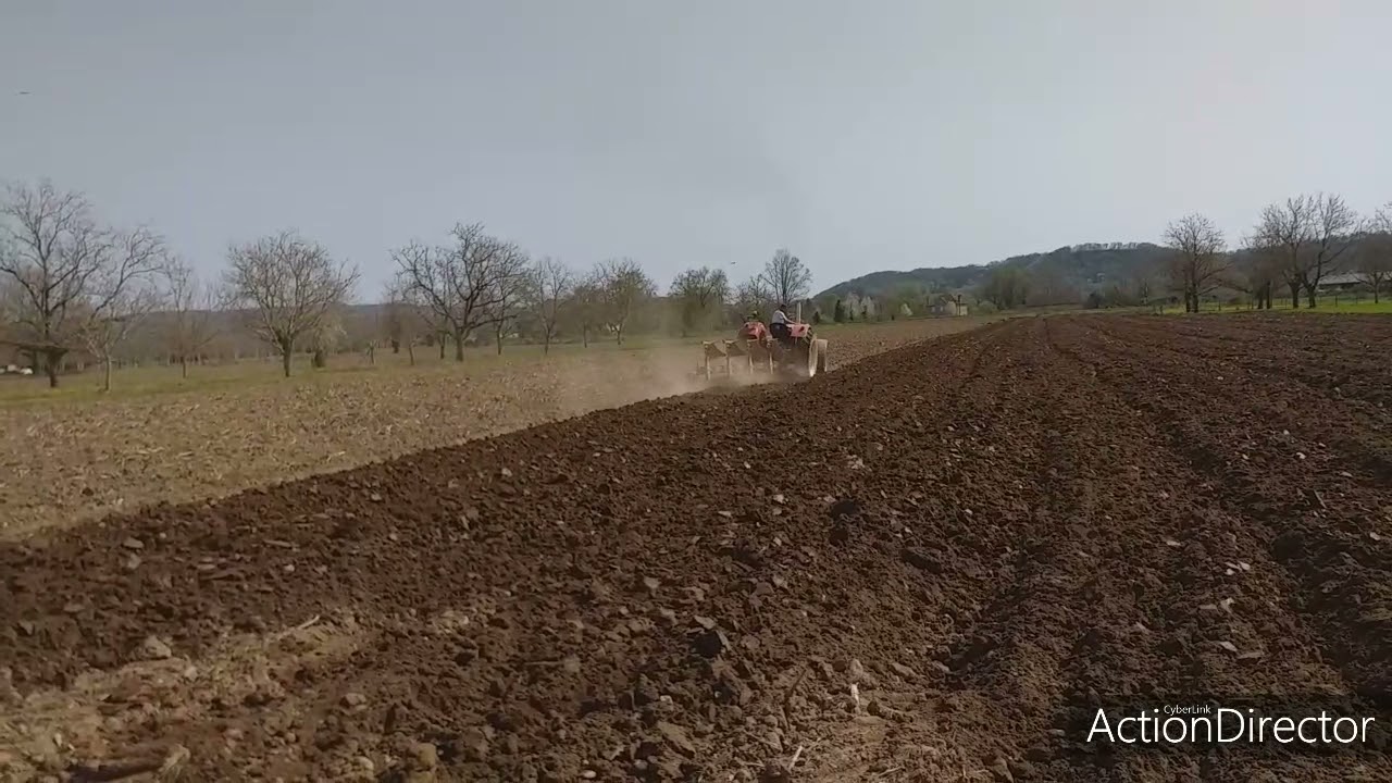 Labour de maïs avec le IH 946