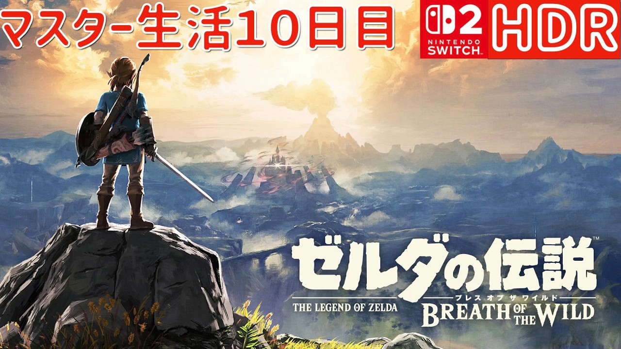 マスターゼルダ生活１０日目