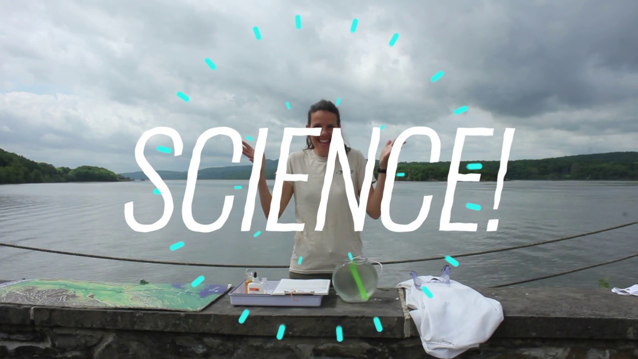 Doing Science: Water Temperature and Dissolved Oxygen