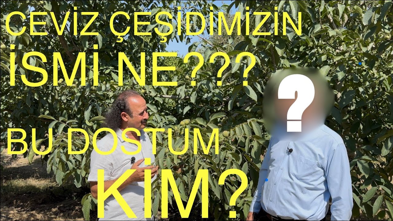 DOSTUM KİM ? ÇEŞİTLERİN İSMİ NE? Ceviz Adam Ahmet.