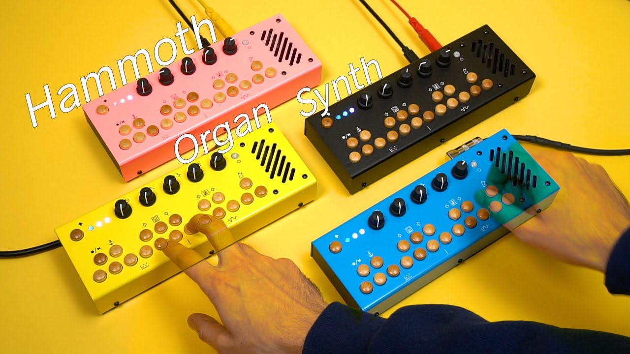 Critter & Guitari - Hammoth for 201 Pocket Piano