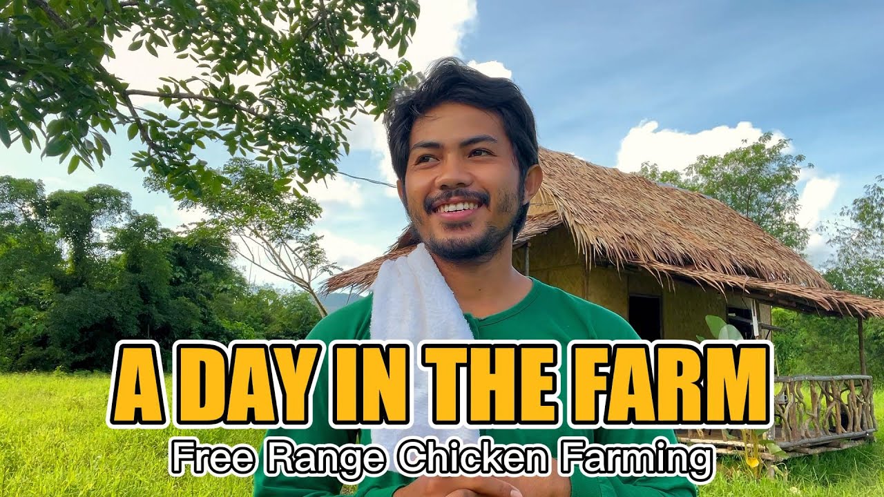 A DAY IN THE FARM | Episode 1 | Free Range Chicken Farming