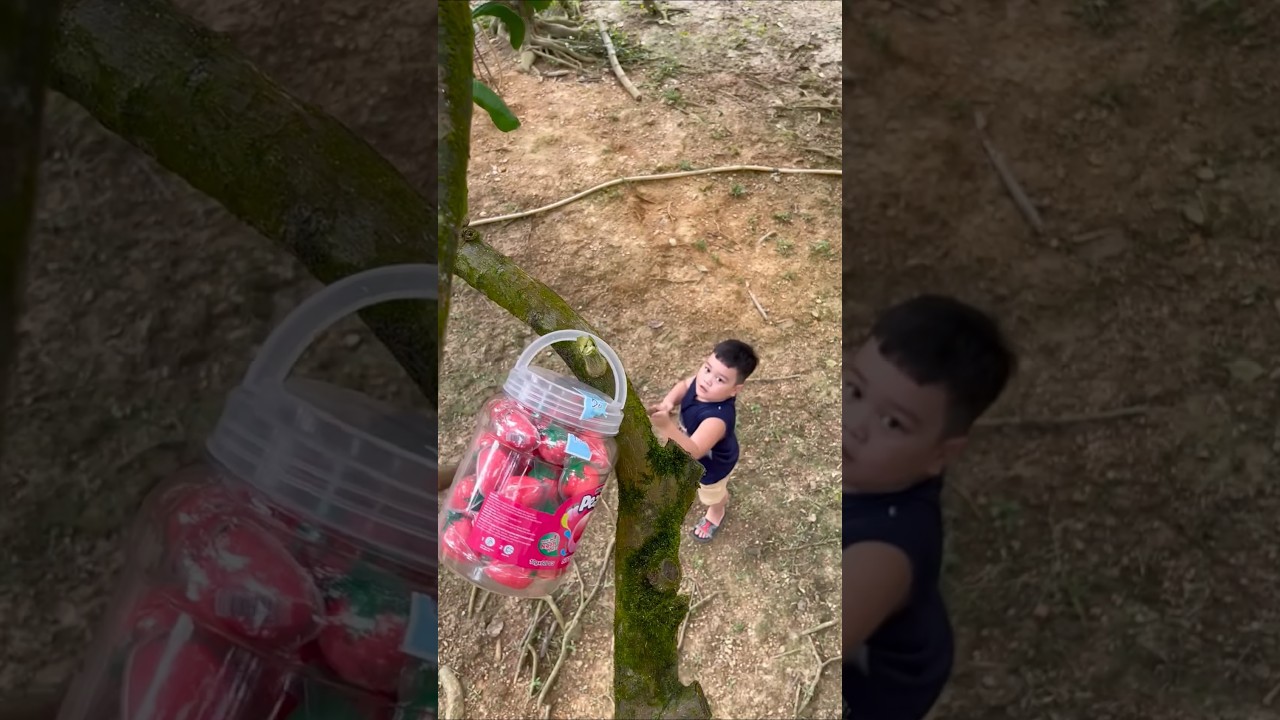 survival skill: smart idea 💡💡 you need to know #bushcraft#camping#shorts#funny#comedy#viral