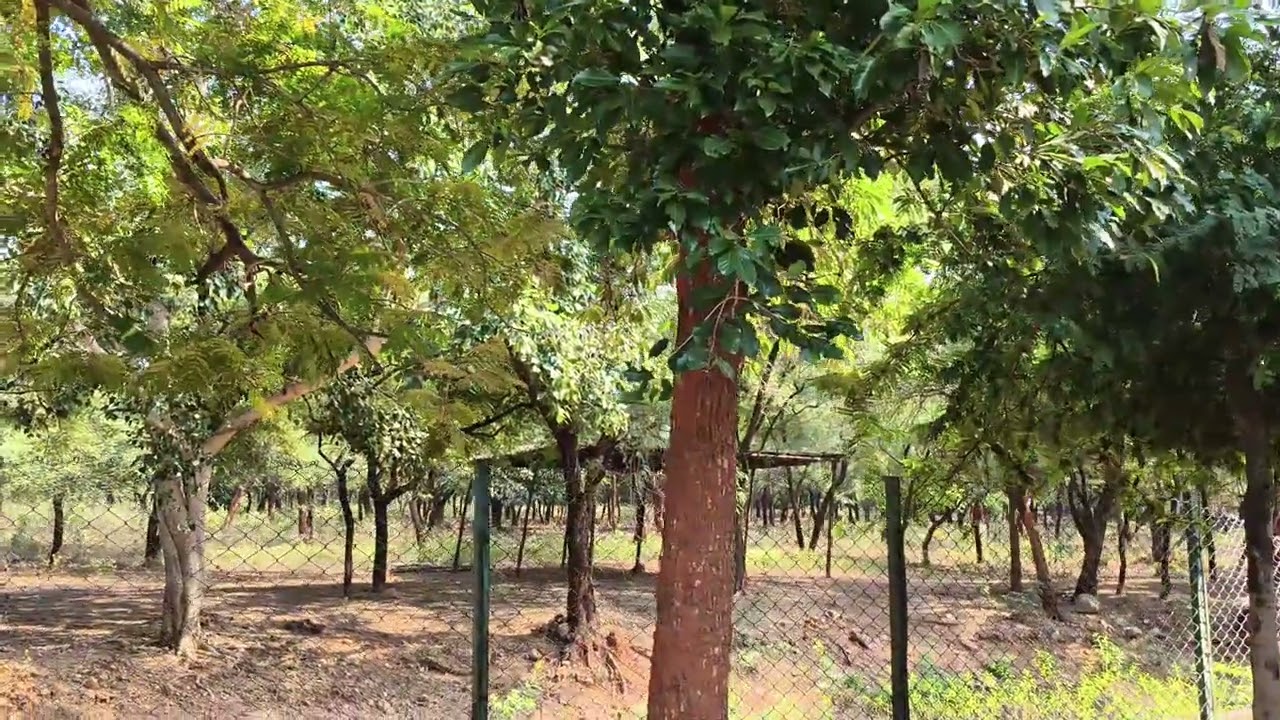 झू लॉजिकल पार्क तिरुपती व्हिडिओ भाग 4