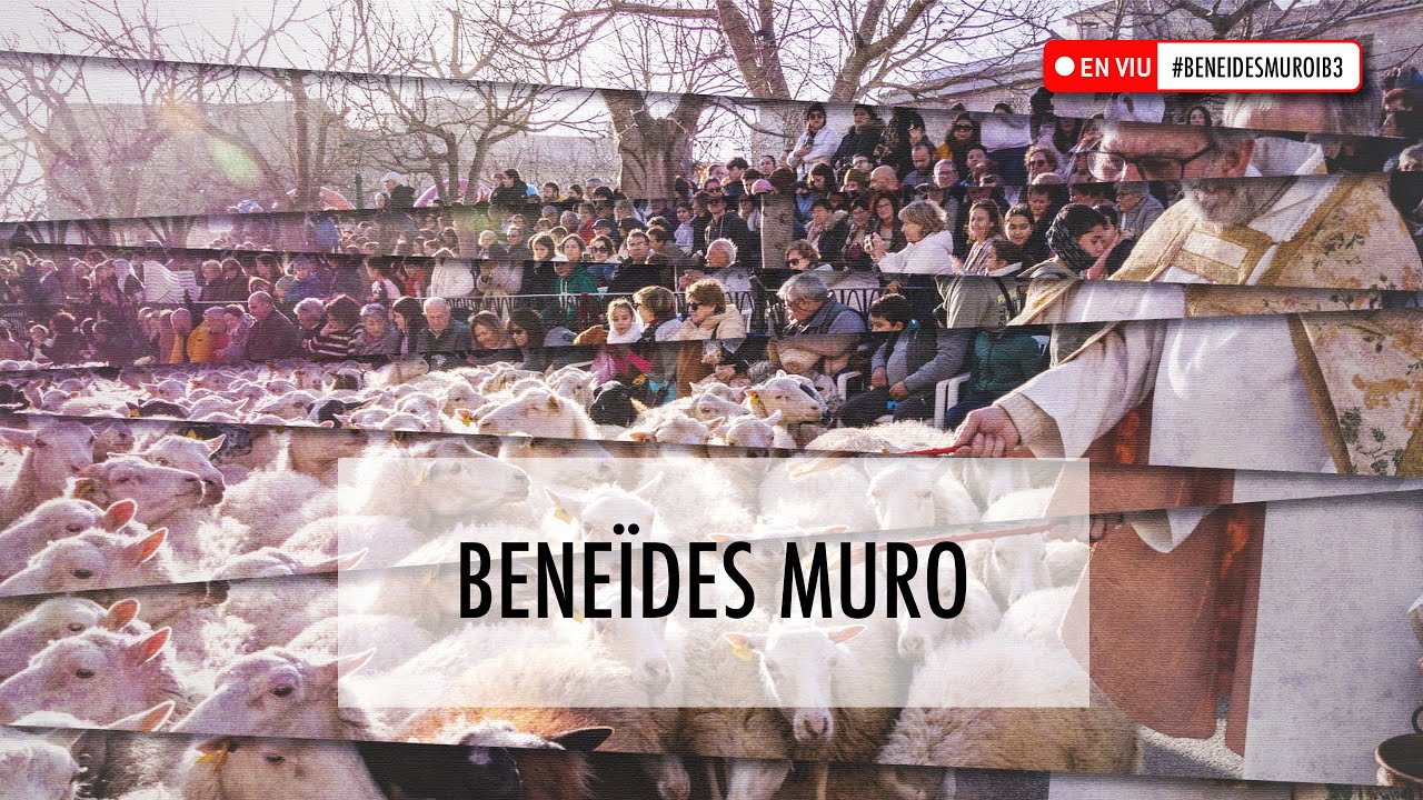 Beneïdes Muro | Sant Antoni 2025