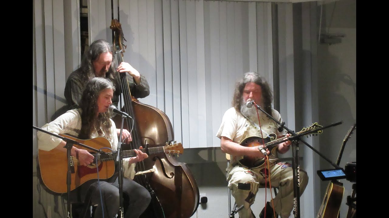 She Moved Through The Fair by Jolene & the Leaves of Life