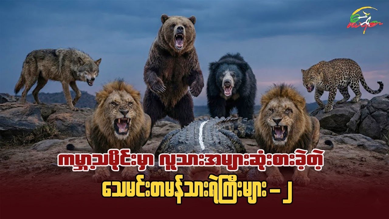 ကမ္ဘာ့သမိုင်းမှာ လူသားအများဆုံးသုံးဆောင်ခဲ့တဲ့ သေမင်းတမန် သားရဲကြီးများ - (၂)