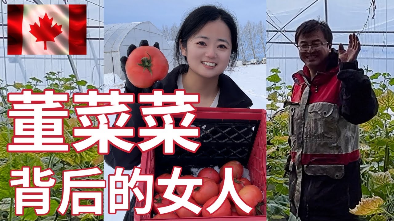 【加拿大华人王果果】我原来以为董菜菜是农场运作主力，王果果只是带娃做饭，没想到她的角色居然还有选品育苗打包送货销售和客服。