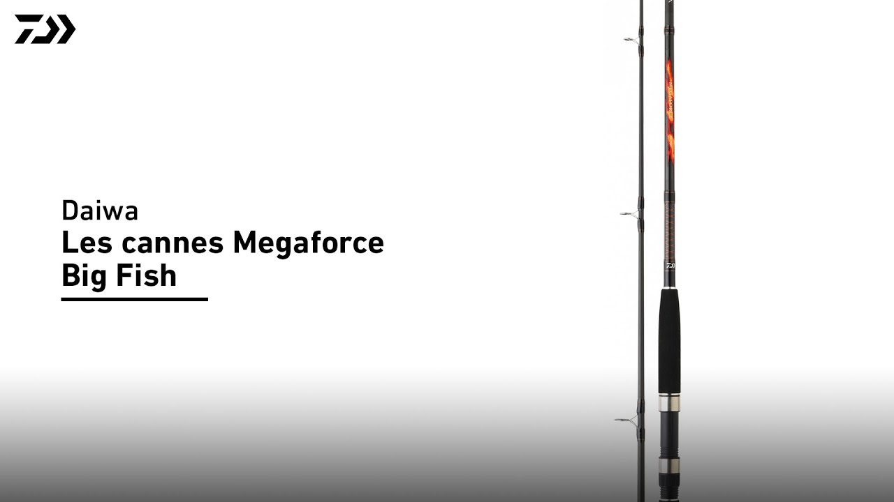 Daiwa | Canne Megaforce Big Fish