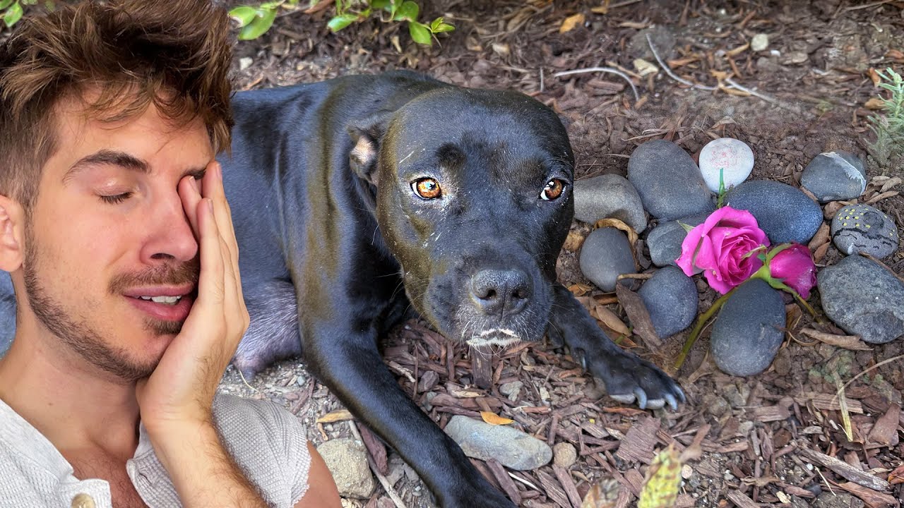 Her Reaction to Visiting Her Puppy’s Grave Broke Me