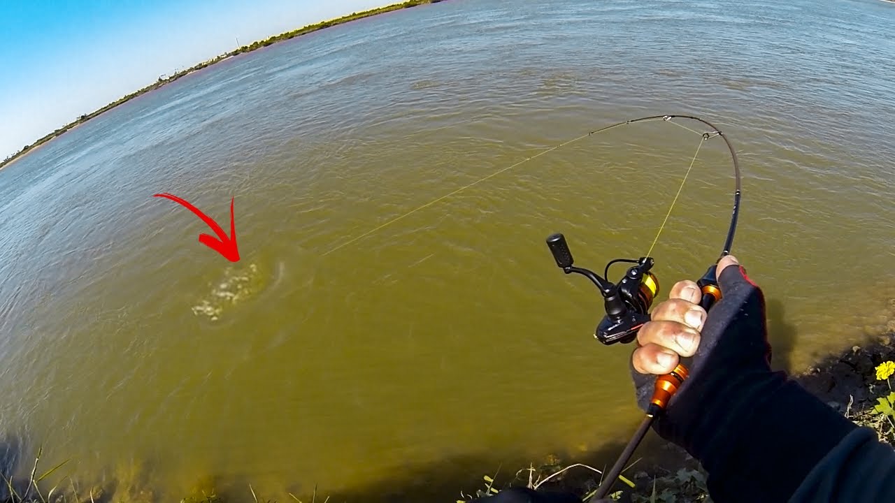 NÃO ESPERAVA POR ESSE BRUTO COM ESSA VARINHA DE 3lbs - PESCA ULTRALIGHT