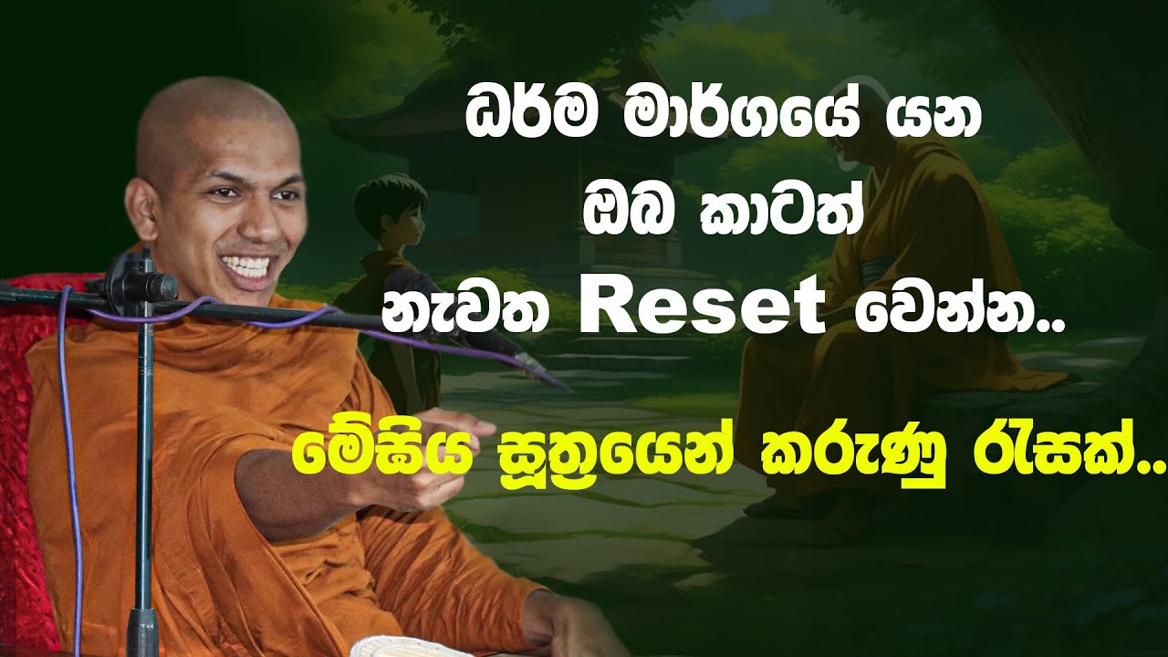 මාර්ගයේ වැඩෙ​නකොට මෝඩ නොවී ඉන්න.. | Ven.Kirulapana Dhammawijaya Thero