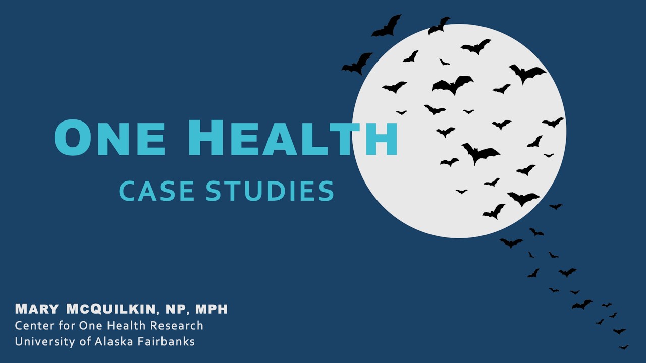One Health Case Studies