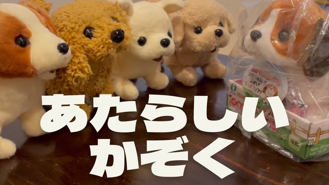 【動くおもちゃ犬】Amazonからやってきた【赤ちゃんピーグル】