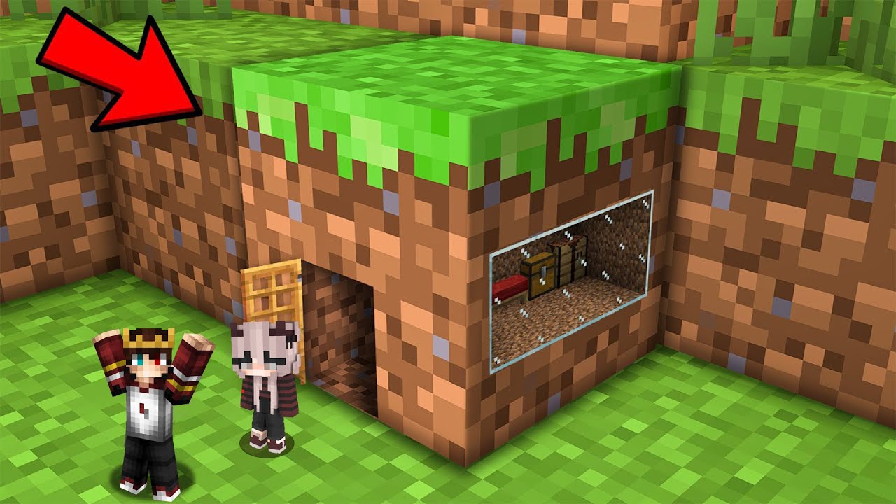 Minecraft AMA Blokların İçinde Ne Var?
