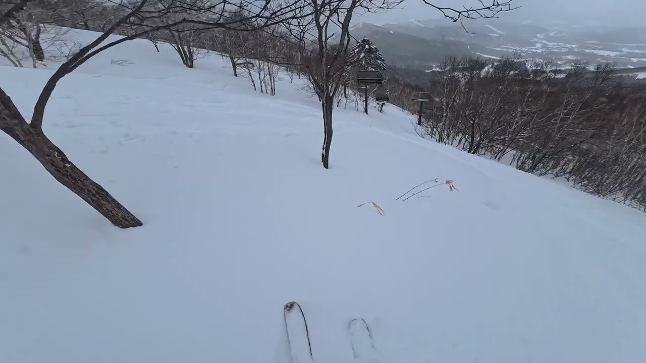 토마무 트리런1