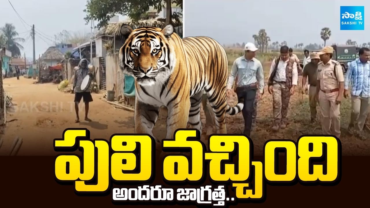 Cheetah Attack on Calf in Chittoor and Kakinada Districts | Sakshi TV