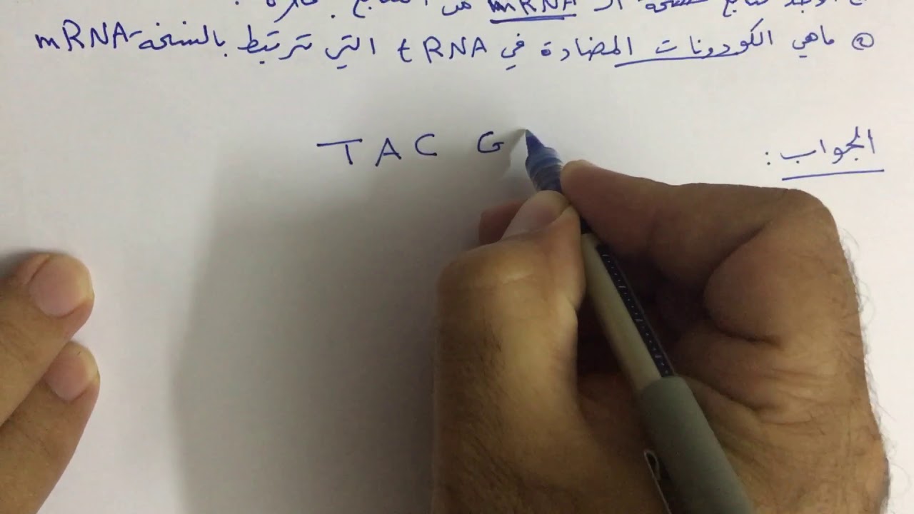 ترتيب القواعد النتروجينية قصي النداوي