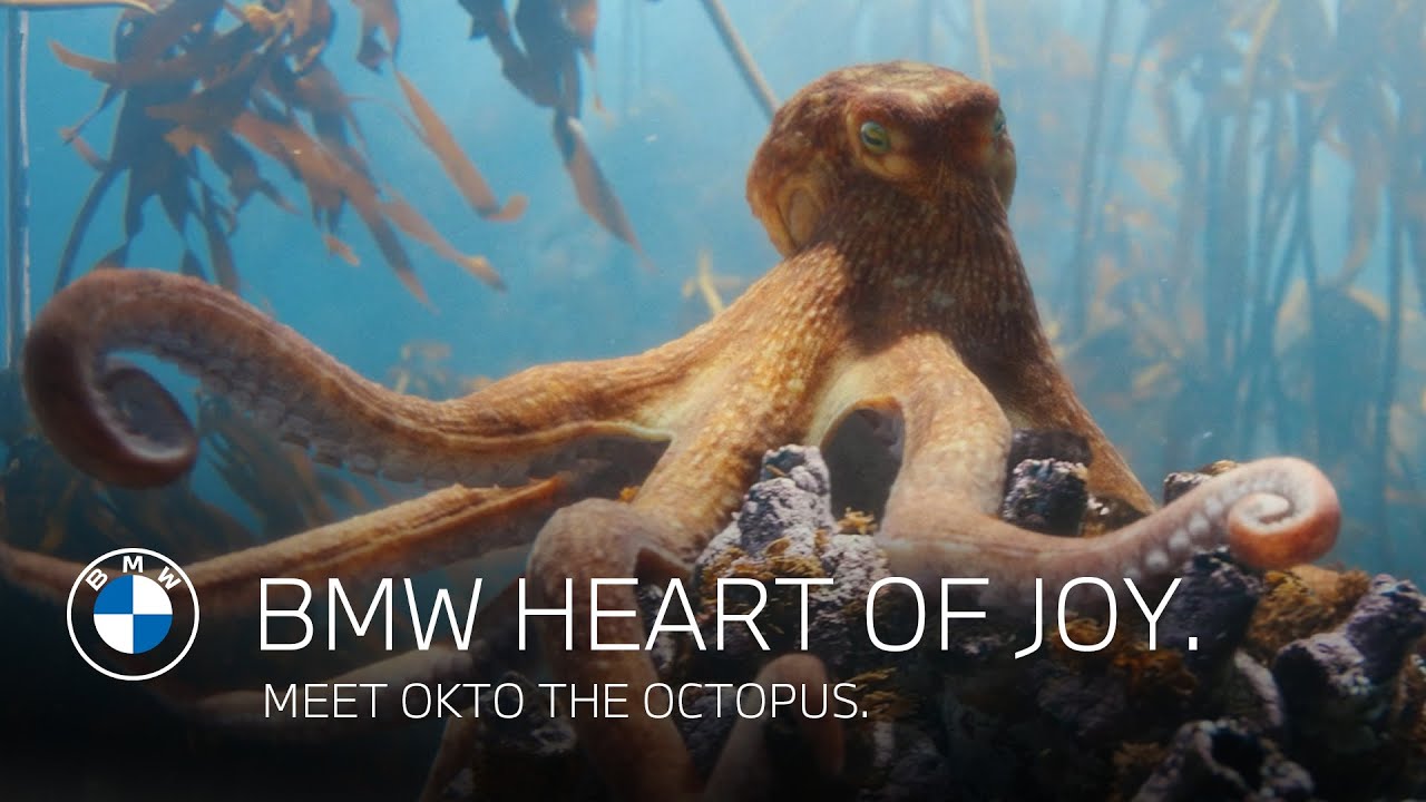BMW Heart of Joy | Meet Okto the octopus
