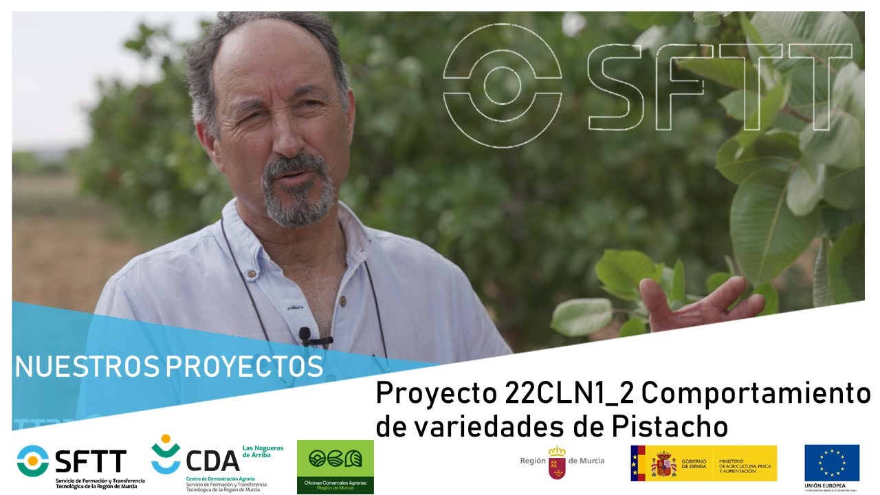 Proyecto 21CLN1_2 Comportamiento de variedades de pistacho