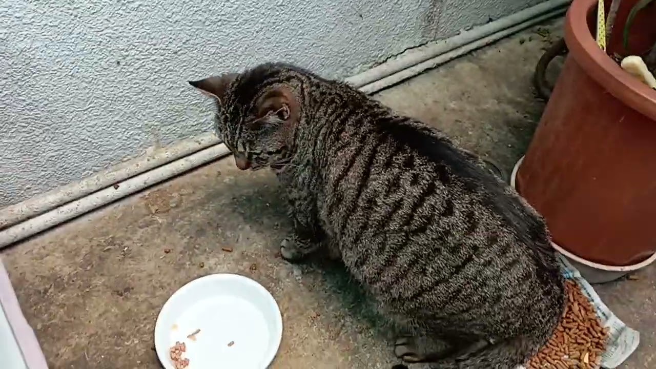 2026年3月20日 夕方4時