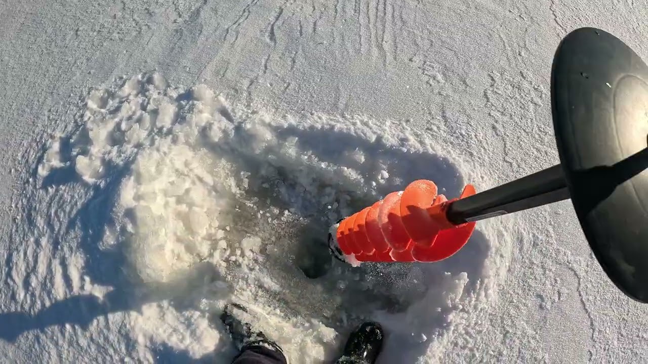 Sezono Uždarymas
