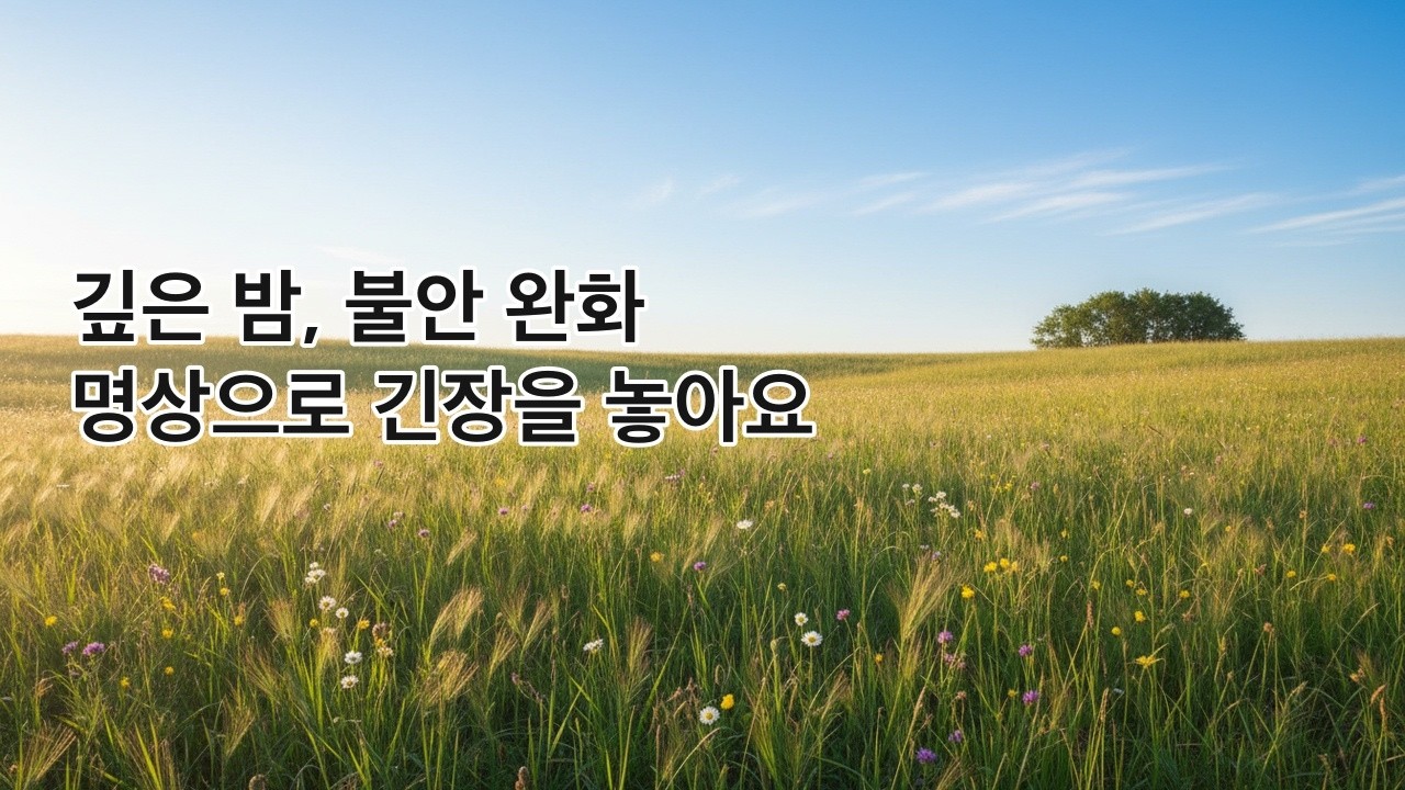 🌙 깊은 밤, 불안 완화 명상으로 긴장을 놓아요