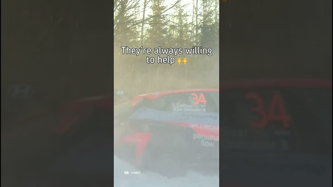 Rally Fans Always Help 💪