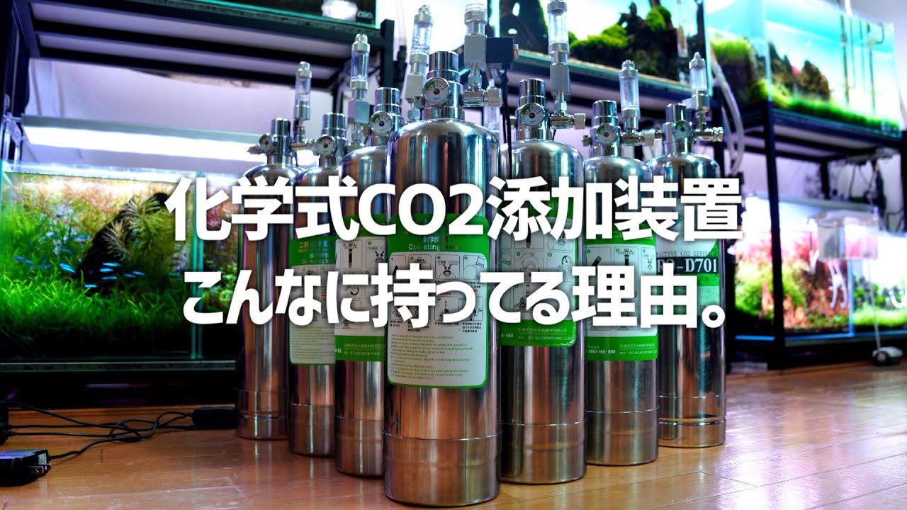 CO2添加装置8個も持ってるヤバいヤツがシルボンについて解説。#327【アクアリウム】