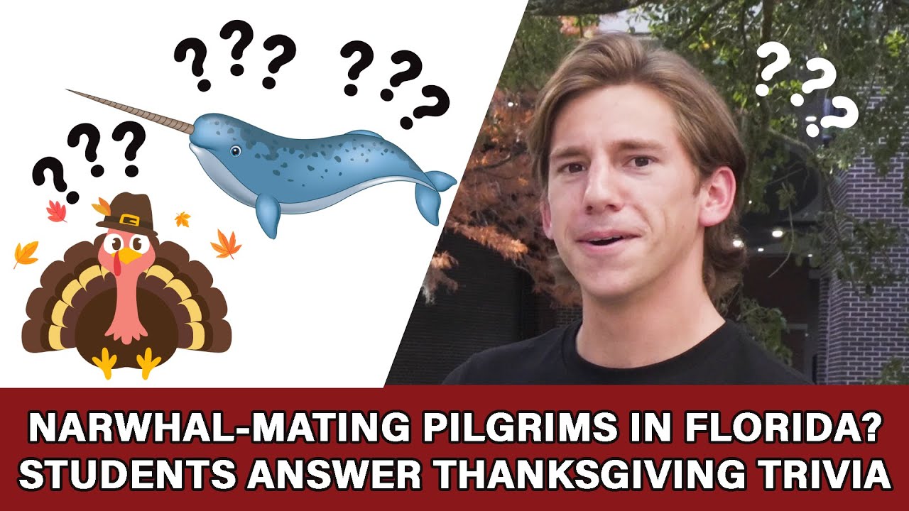 Narwhal-Mating Pilgrims in Florida? Students Answer Thanksgiving Trivia