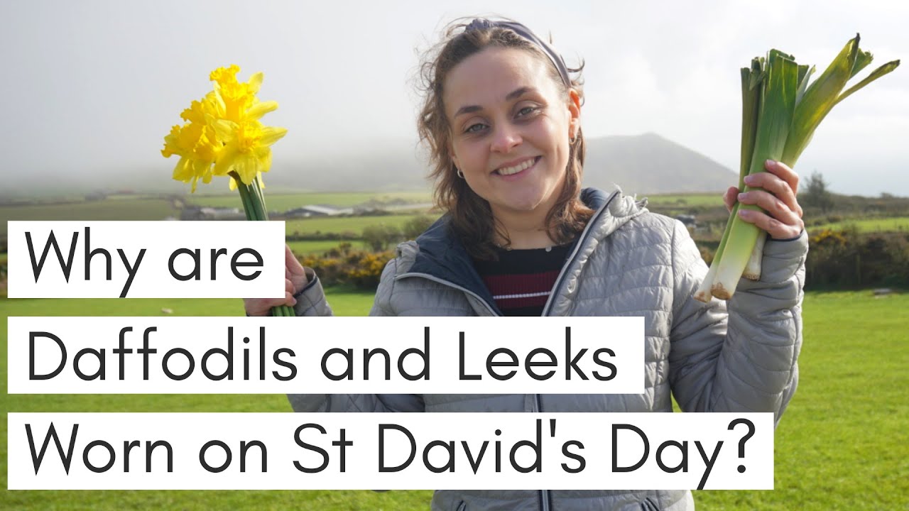 Why are Daffodils and Leeks worn on St David's Day? / Eating a RAW LEEK + Outtakes