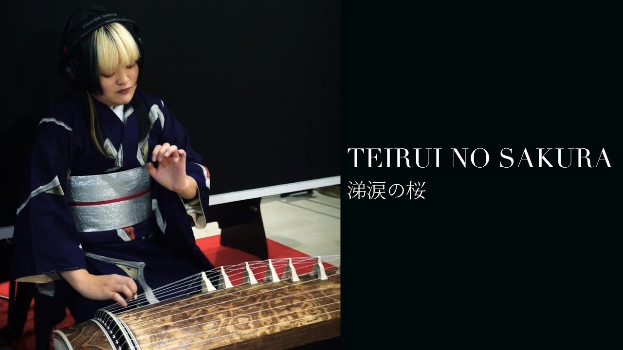 涕涙の桜 TEIRUI NO SAKURA （LIVE ver.)/ 明日佳 ASUKA【箏曲/琴奏者/KOTO】