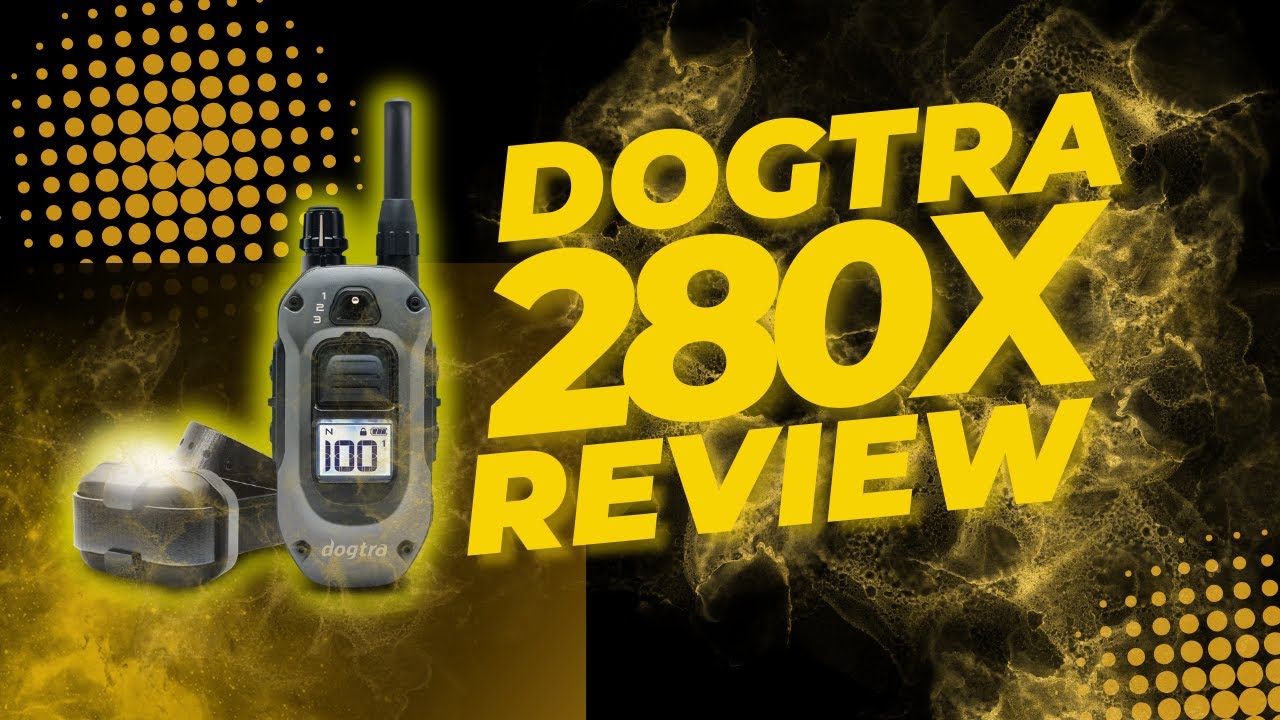 Dogtra 280x: The E-Collar That Can Survive the Apocalypse (But Can It Survive My Dogs?)