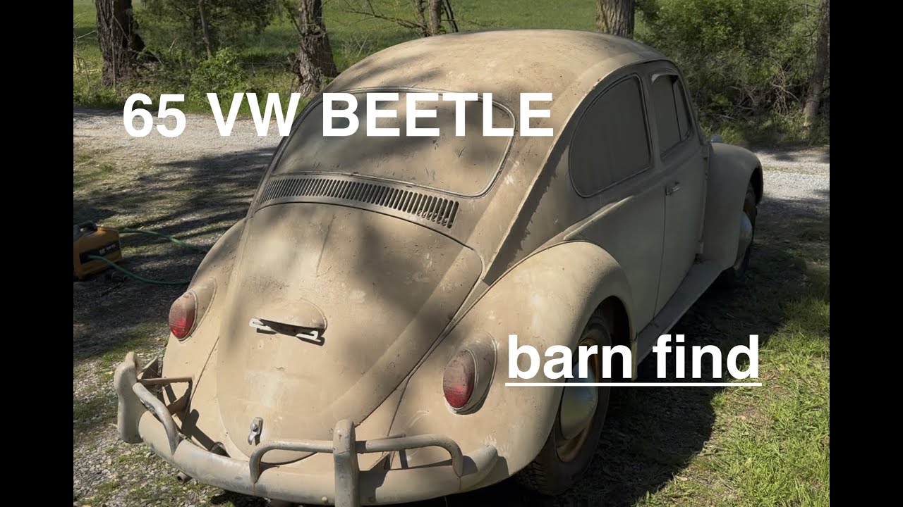 First look 1965 VW BEETLE. Looking for advice.