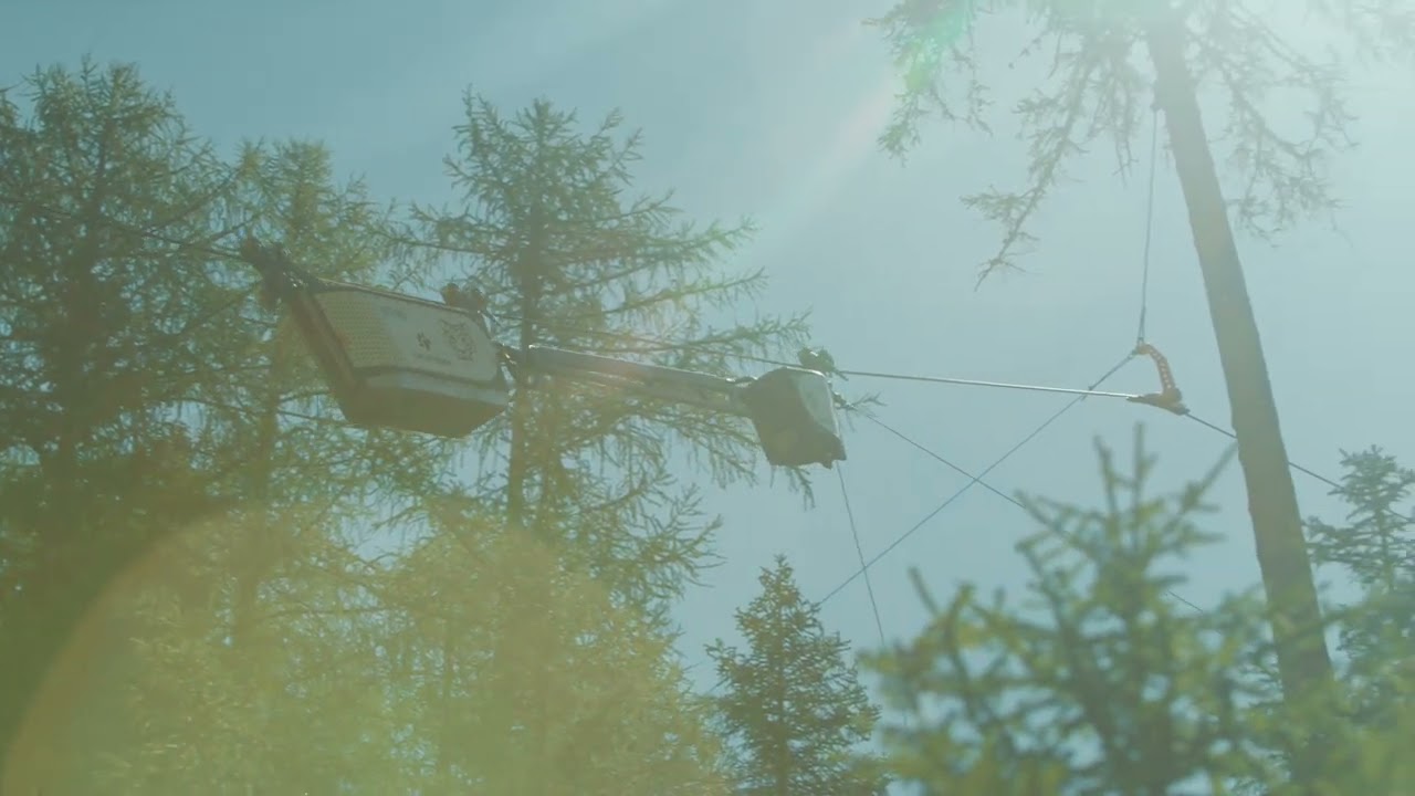SEIK TIMBER LOGGING