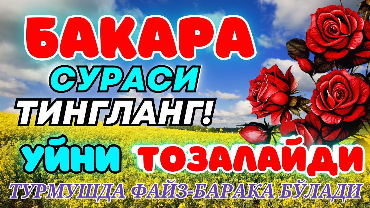 Surah Al Baqarah. Beautiful recitation. Бақара сүресі. Бұл сүре оқылған үйден ШАЙТАНДАР қашады.