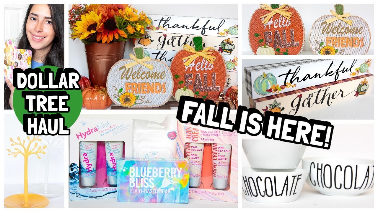 DOLLAR TREE HAUL NEW FALL ITEMS NEW FINDS JULY 2019